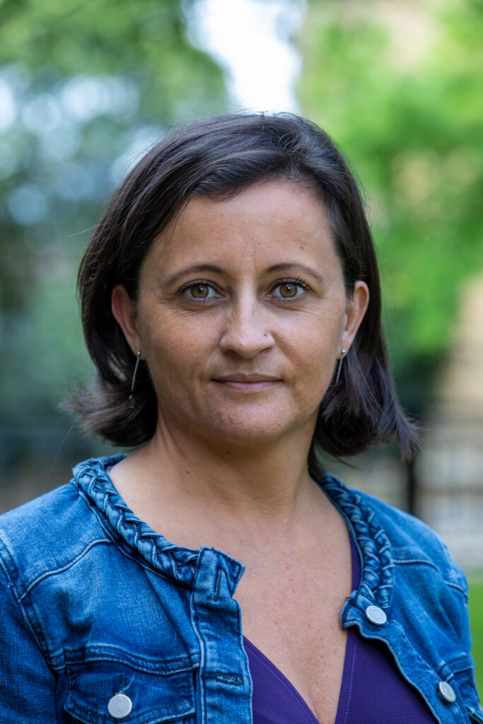 Enlarge image, modal window