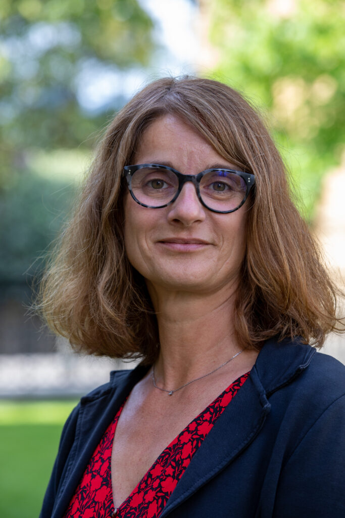 Enlarge image, modal window