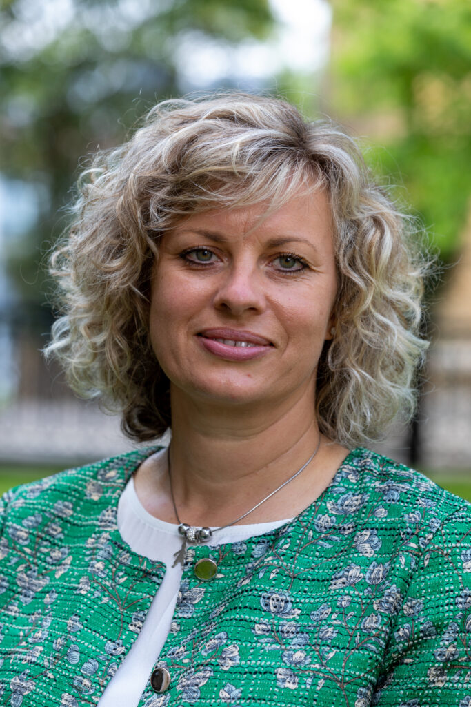 Enlarge image, modal window