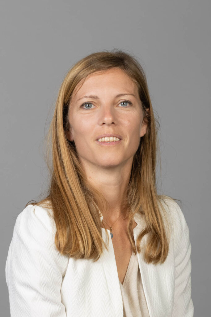 Enlarge image, modal window