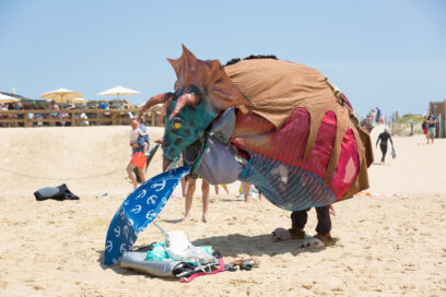 Agrandir l'image, fenêtre modale