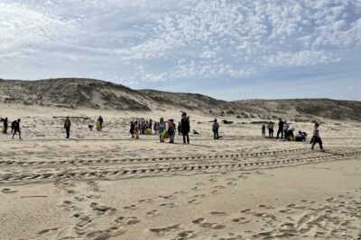 Enlarge image 6 on 8, modal window